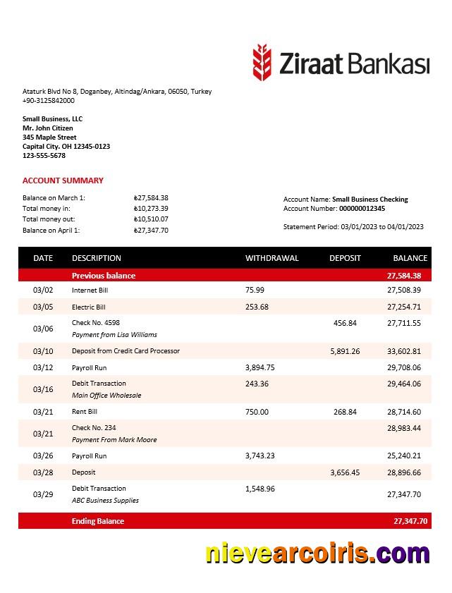 Ziraat Bankasi business checking account statement